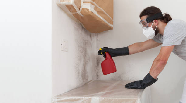 Professional Crawl Space Mold Remediation technician working in Aldie, VA