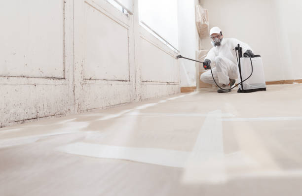 24/7 Emergency Crawl Space Mold Remediation experts in Aldie, VA